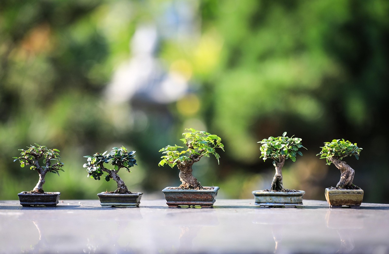 家庭用脱毛器の効果はどれくらい持つのか知りたいですか？