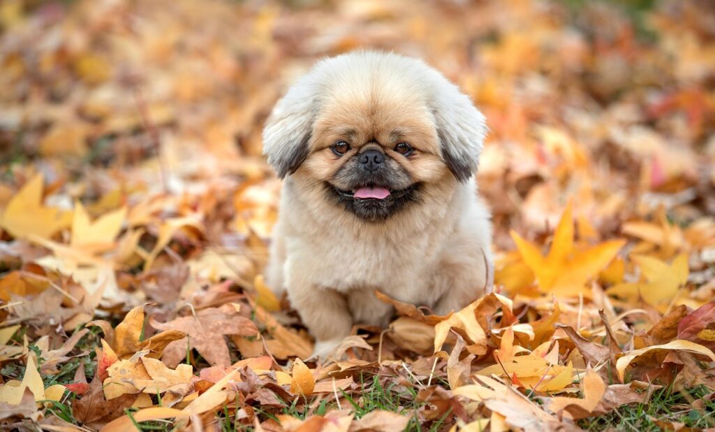 脱毛器ケノンの評判は本当に良いのか徹底解説しますか？