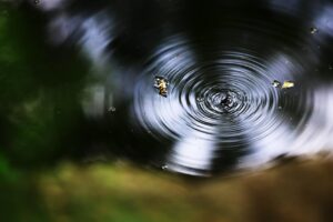 ケノンの波長は脱毛効果にどのように影響するのか？