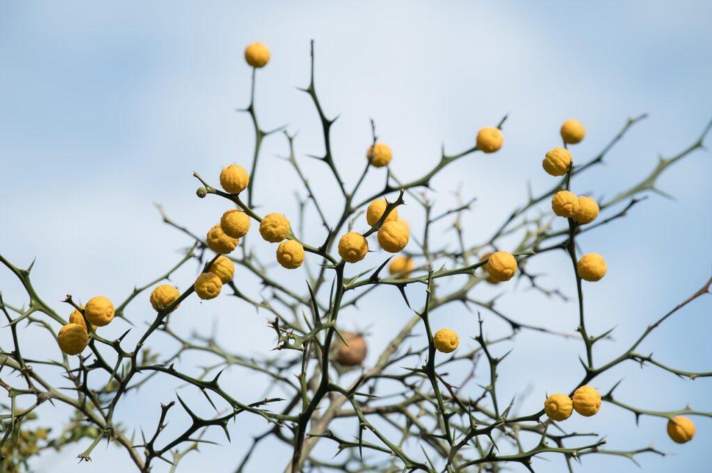 ケノンの脱毛効果は本当にあるのか徹底検証しましたか？