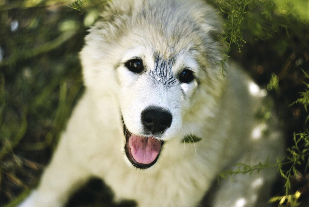 脱毛は何日おきに行うのが効果的ですか？