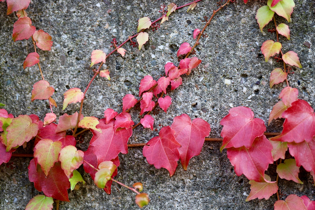 セルフ脱毛の頻度はどれくらいが理想的ですか？