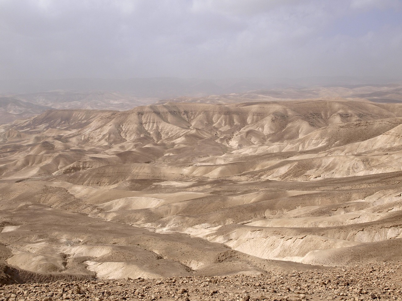 ケノンを使ったVIO脱毛の頻度はどのくらいが理想？