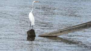 家庭用脱毛器の分割払いはどこまで可能なのか？