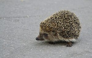 家庭用脱毛器は入浴前後のどちらがやりやすいのか？