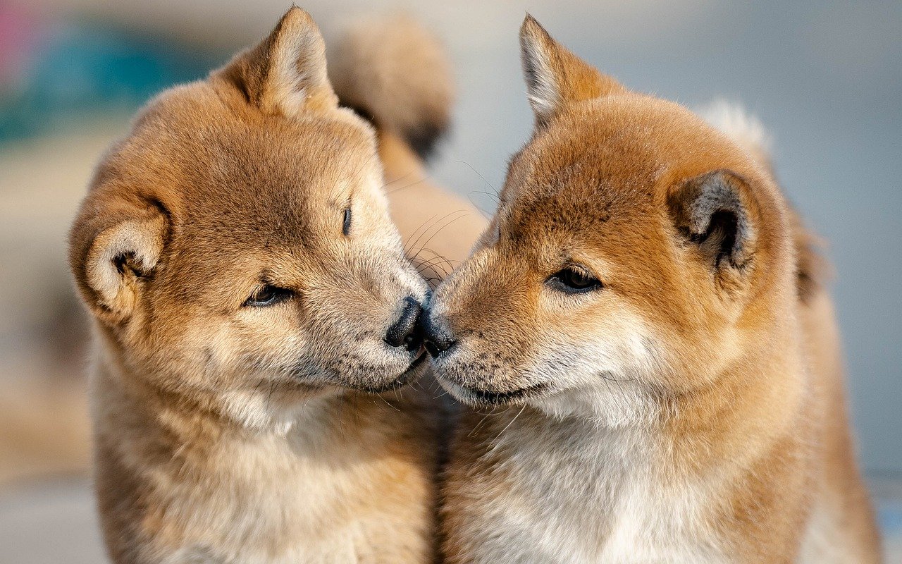 家庭用脱毛器は指の毛に反応しやすいのか？