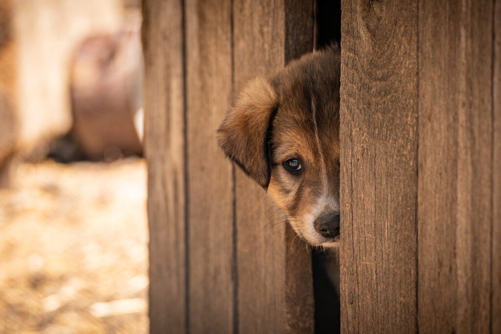 家庭用脱毛器の照射面積が小さいと有利な部位はどこ？